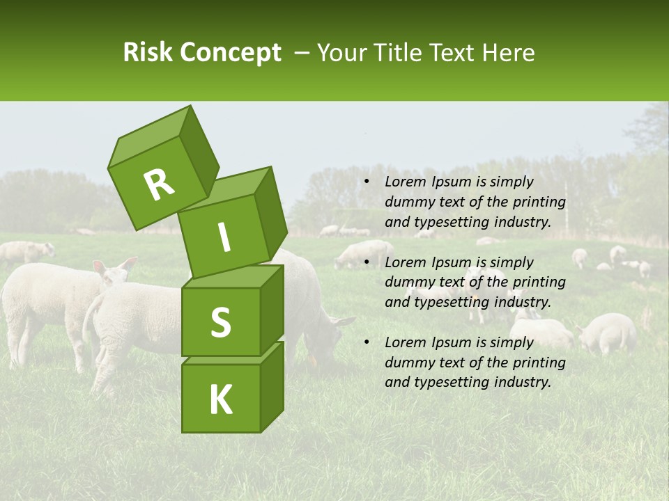 A Herd Of Sheep Standing On Top Of A Lush Green Field PowerPoint Template