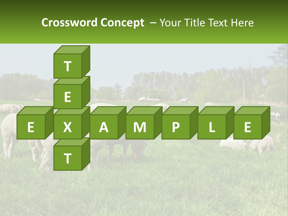 A Herd Of Sheep Standing On Top Of A Lush Green Field PowerPoint Template