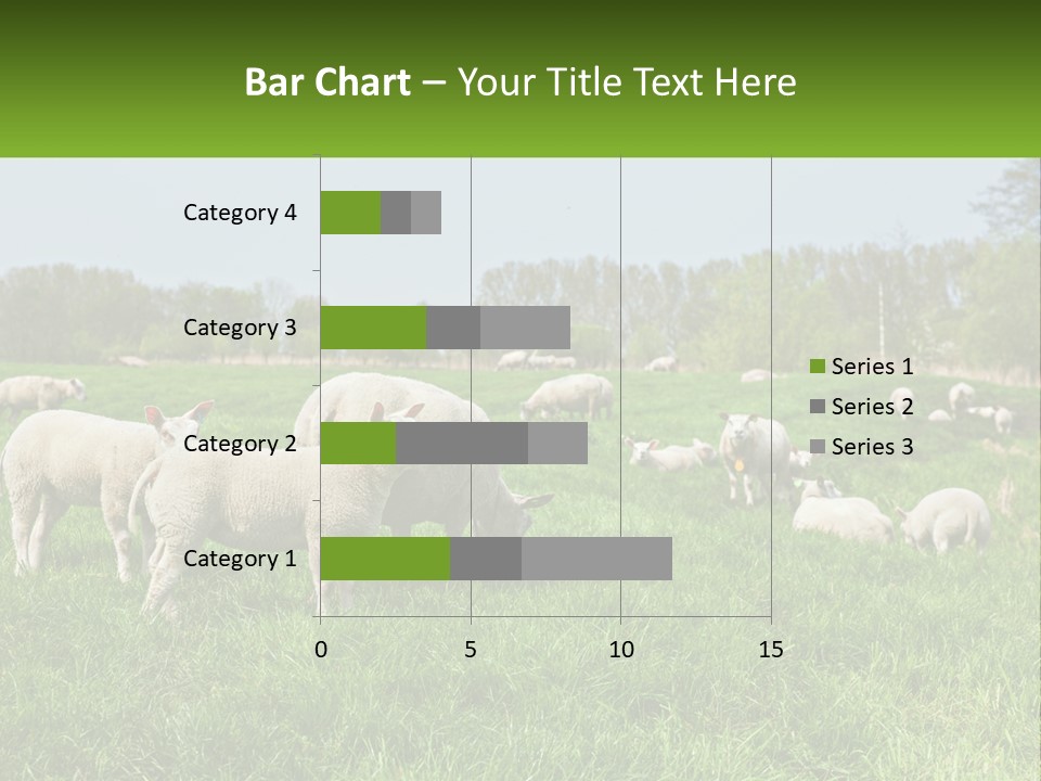 A Herd Of Sheep Standing On Top Of A Lush Green Field PowerPoint Template