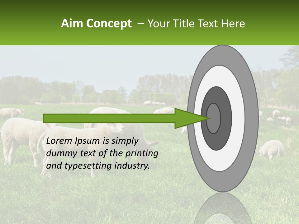 A Herd Of Sheep Standing On Top Of A Lush Green Field PowerPoint Template