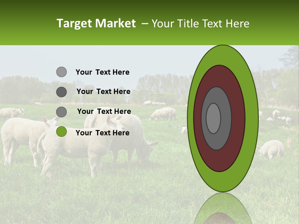 A Herd Of Sheep Standing On Top Of A Lush Green Field PowerPoint Template