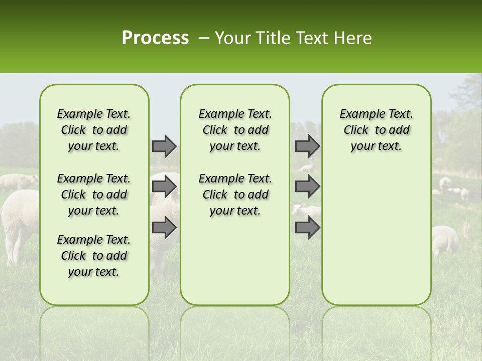 A Herd Of Sheep Standing On Top Of A Lush Green Field PowerPoint Template