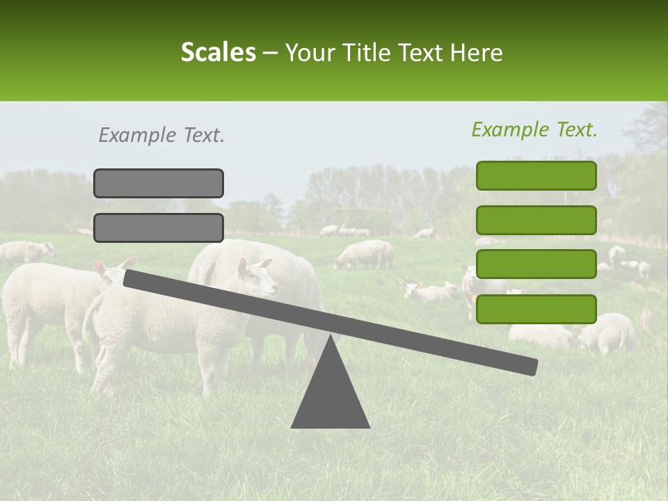 A Herd Of Sheep Standing On Top Of A Lush Green Field PowerPoint Template