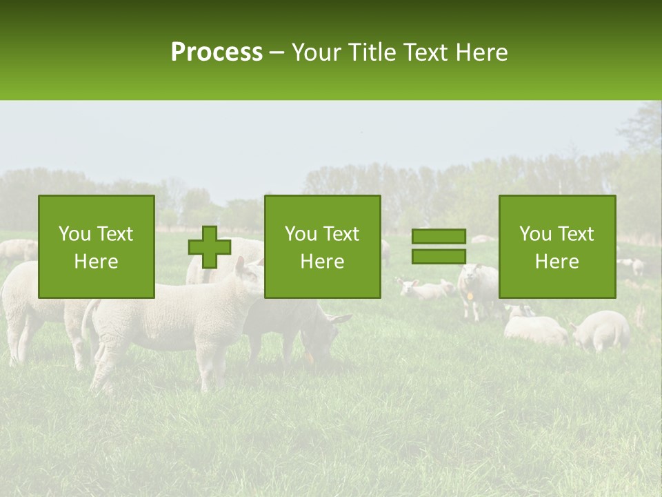 A Herd Of Sheep Standing On Top Of A Lush Green Field PowerPoint Template