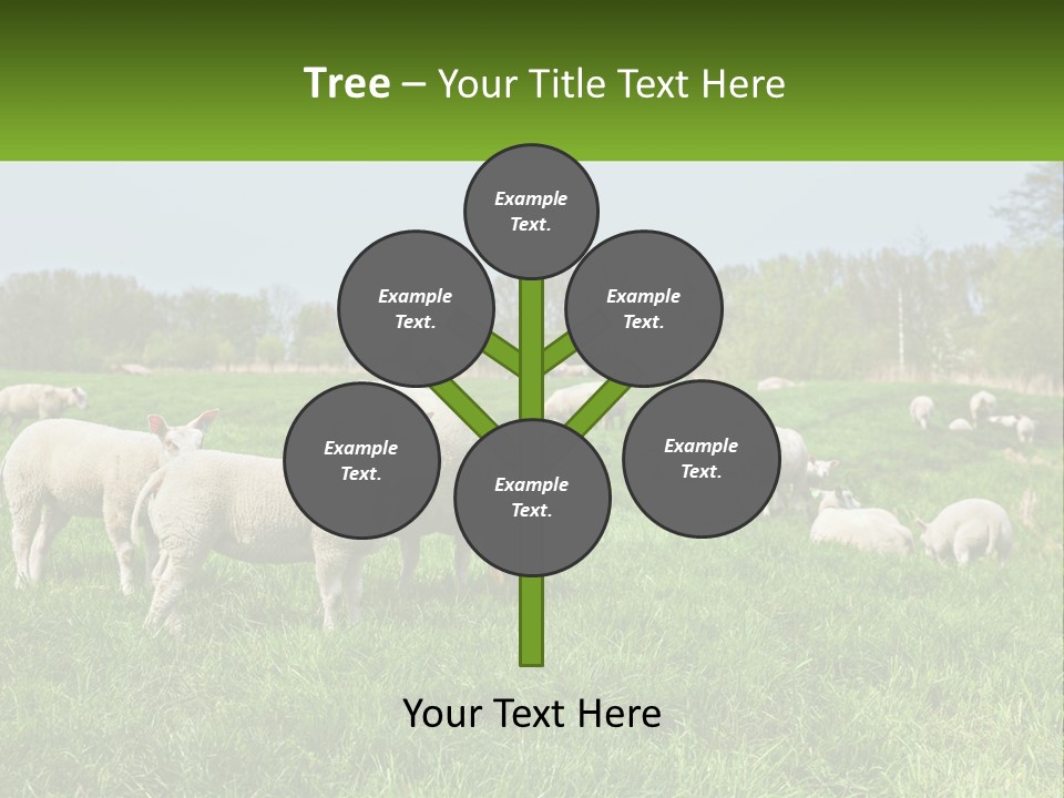 A Herd Of Sheep Standing On Top Of A Lush Green Field PowerPoint Template