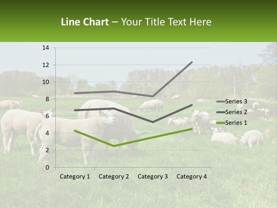 A Herd Of Sheep Standing On Top Of A Lush Green Field PowerPoint Template