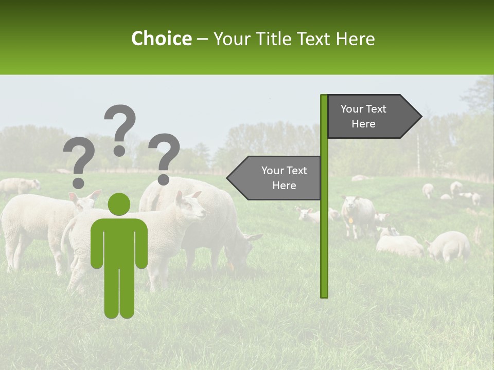 A Herd Of Sheep Standing On Top Of A Lush Green Field PowerPoint Template