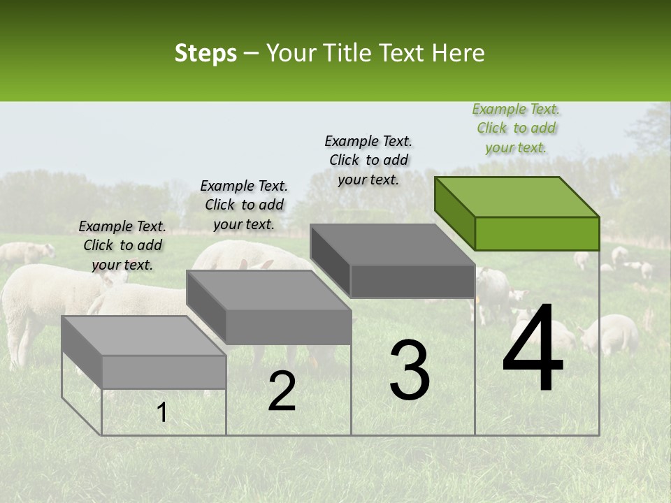 A Herd Of Sheep Standing On Top Of A Lush Green Field PowerPoint Template
