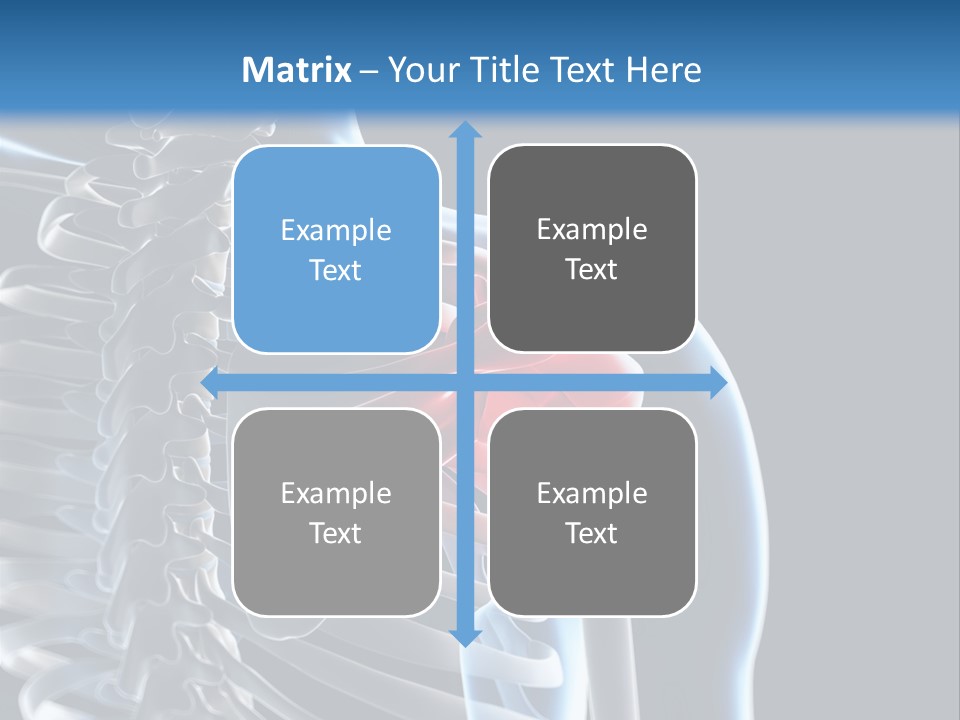 A Skeleton With A Highlighted Shoulder Is Shown In This Powerpoint Presentation PowerPoint Template