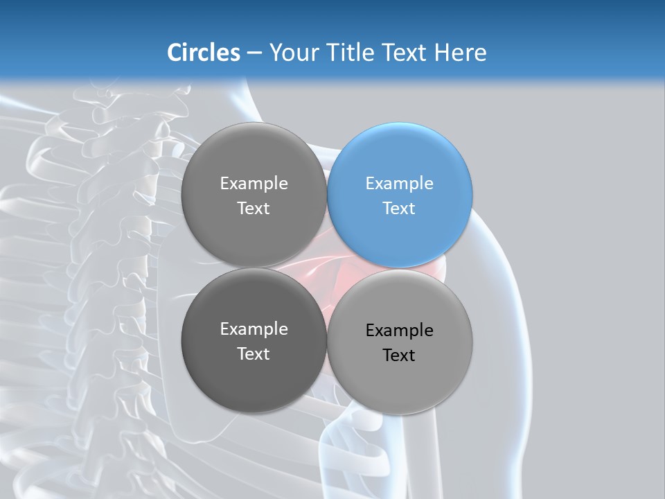 A Skeleton With A Highlighted Shoulder Is Shown In This Powerpoint Presentation PowerPoint Template