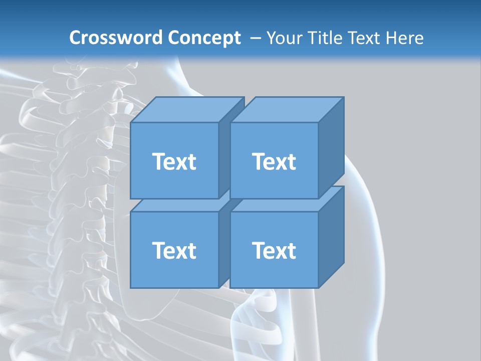 A Skeleton With A Highlighted Shoulder Is Shown In This Powerpoint Presentation PowerPoint Template