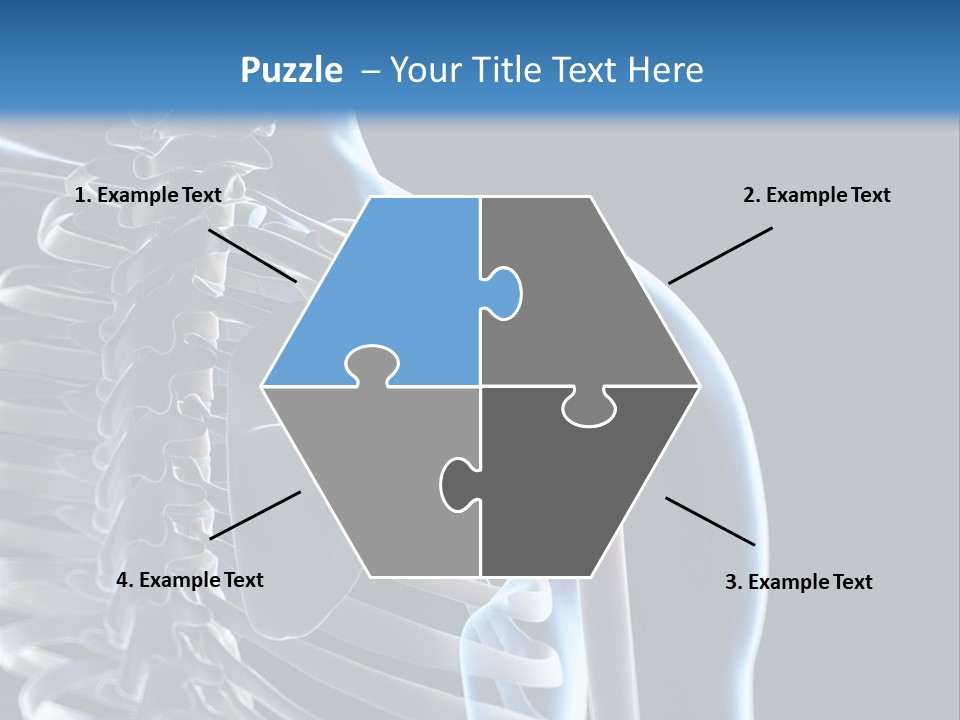 A Skeleton With A Highlighted Shoulder Is Shown In This Powerpoint Presentation PowerPoint Template