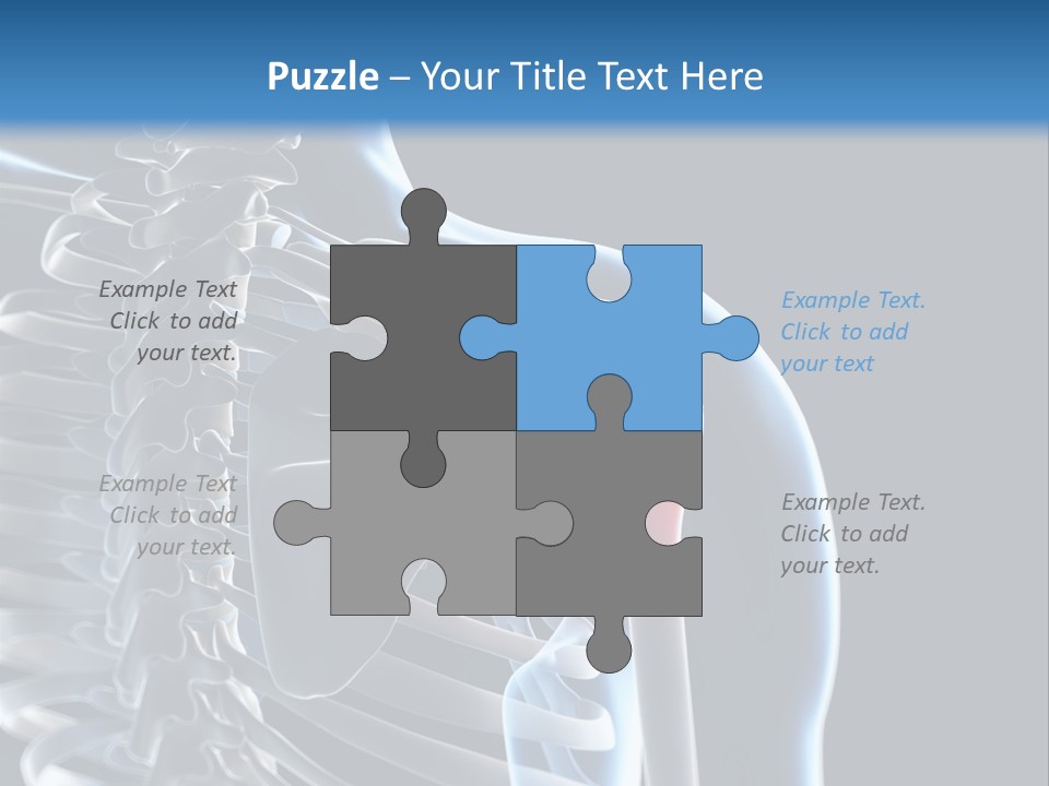 A Skeleton With A Highlighted Shoulder Is Shown In This Powerpoint Presentation PowerPoint Template