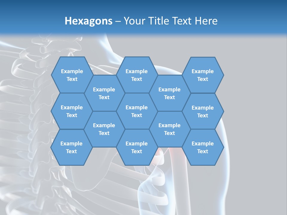 A Skeleton With A Highlighted Shoulder Is Shown In This Powerpoint Presentation PowerPoint Template