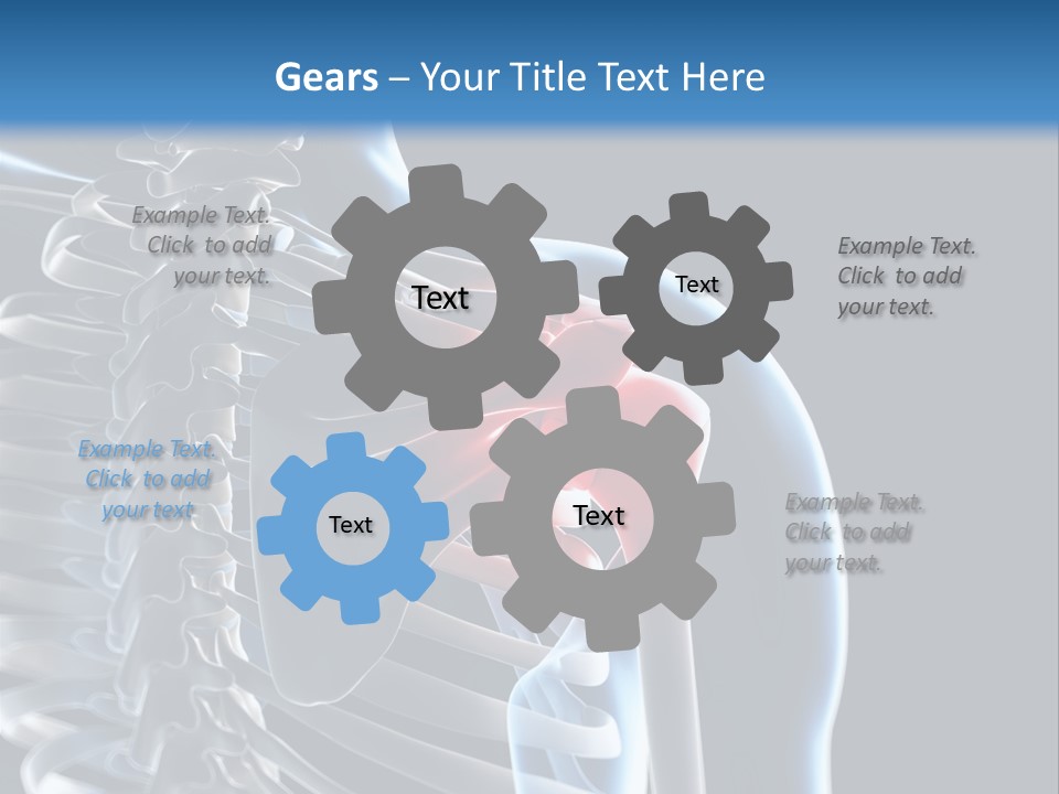 A Skeleton With A Highlighted Shoulder Is Shown In This Powerpoint Presentation PowerPoint Template