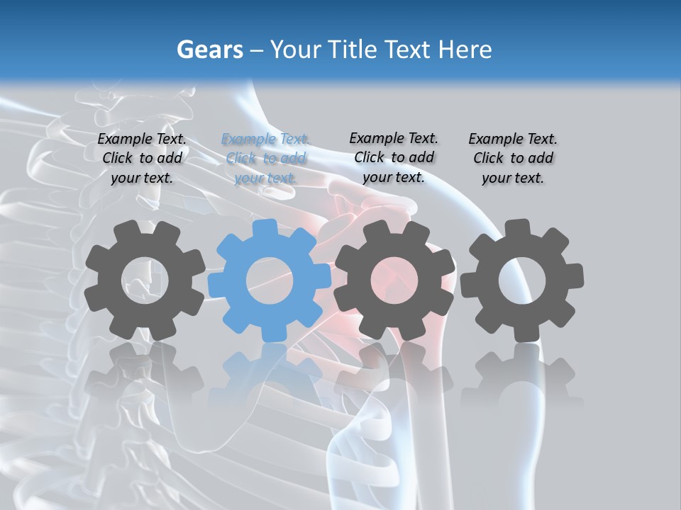 A Skeleton With A Highlighted Shoulder Is Shown In This Powerpoint Presentation PowerPoint Template