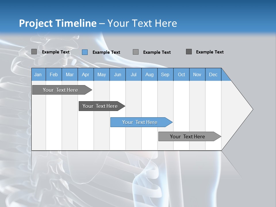A Skeleton With A Highlighted Shoulder Is Shown In This Powerpoint Presentation PowerPoint Template