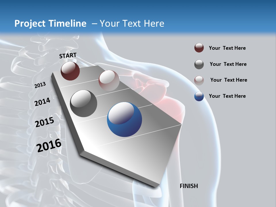 A Skeleton With A Highlighted Shoulder Is Shown In This Powerpoint Presentation PowerPoint Template