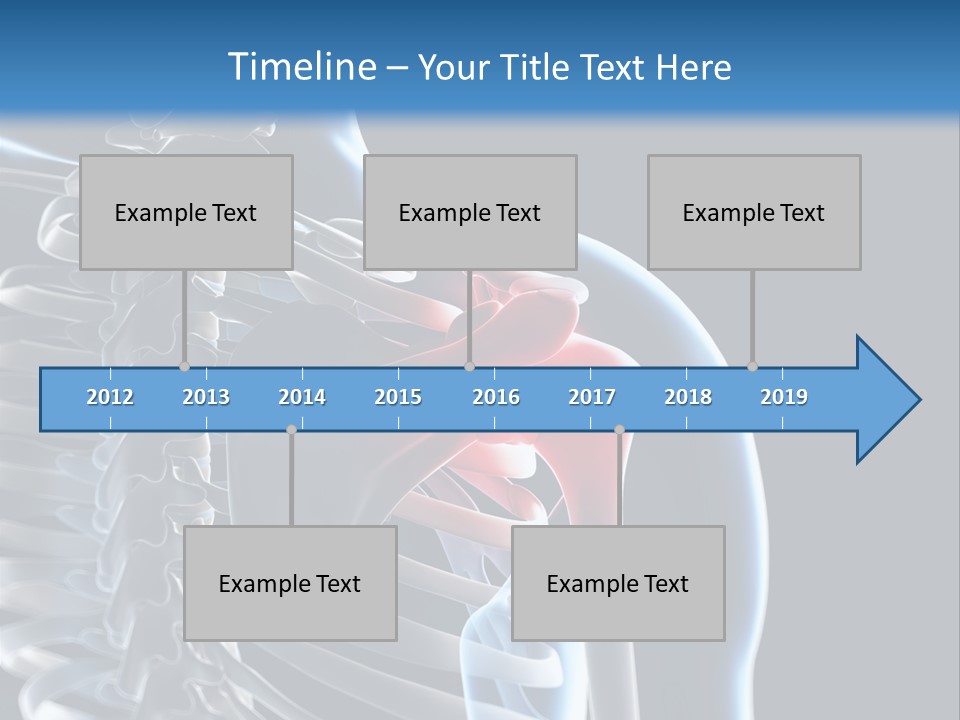 A Skeleton With A Highlighted Shoulder Is Shown In This Powerpoint Presentation PowerPoint Template