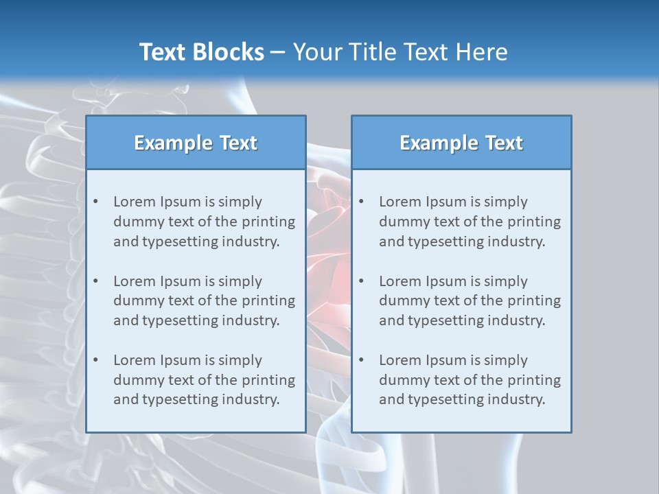A Skeleton With A Highlighted Shoulder Is Shown In This Powerpoint Presentation PowerPoint Template