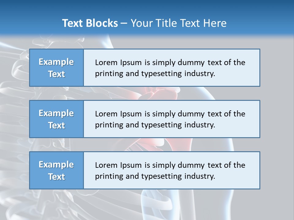A Skeleton With A Highlighted Shoulder Is Shown In This Powerpoint Presentation PowerPoint Template