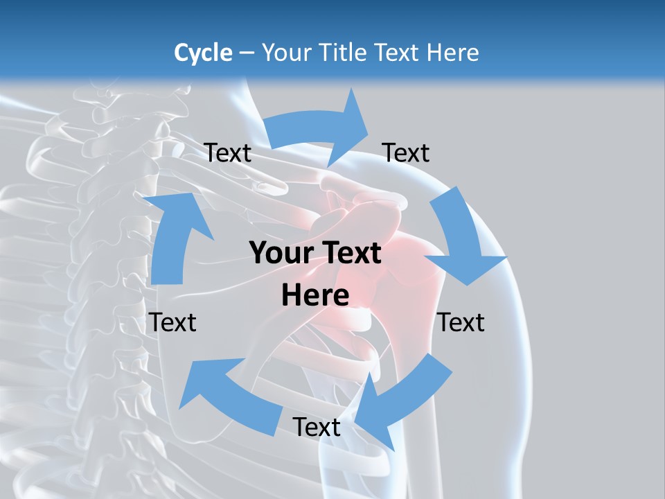 A Skeleton With A Highlighted Shoulder Is Shown In This Powerpoint Presentation PowerPoint Template