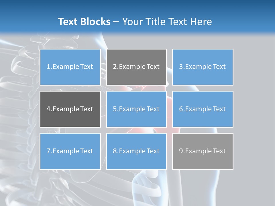 A Skeleton With A Highlighted Shoulder Is Shown In This Powerpoint Presentation PowerPoint Template