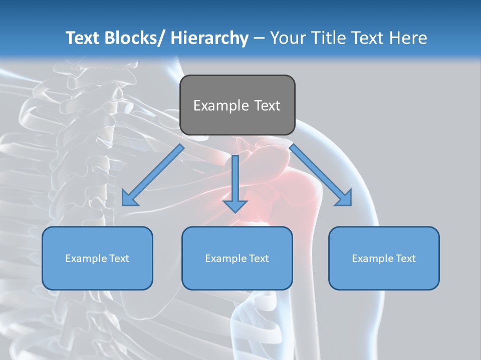 A Skeleton With A Highlighted Shoulder Is Shown In This Powerpoint Presentation PowerPoint Template