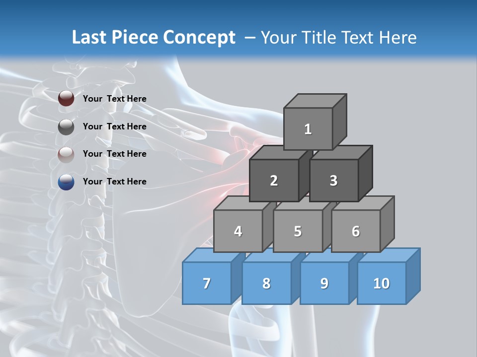 A Skeleton With A Highlighted Shoulder Is Shown In This Powerpoint Presentation PowerPoint Template