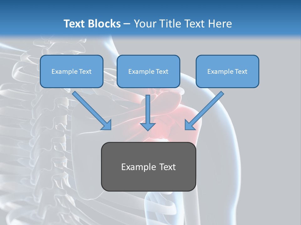 A Skeleton With A Highlighted Shoulder Is Shown In This Powerpoint Presentation PowerPoint Template