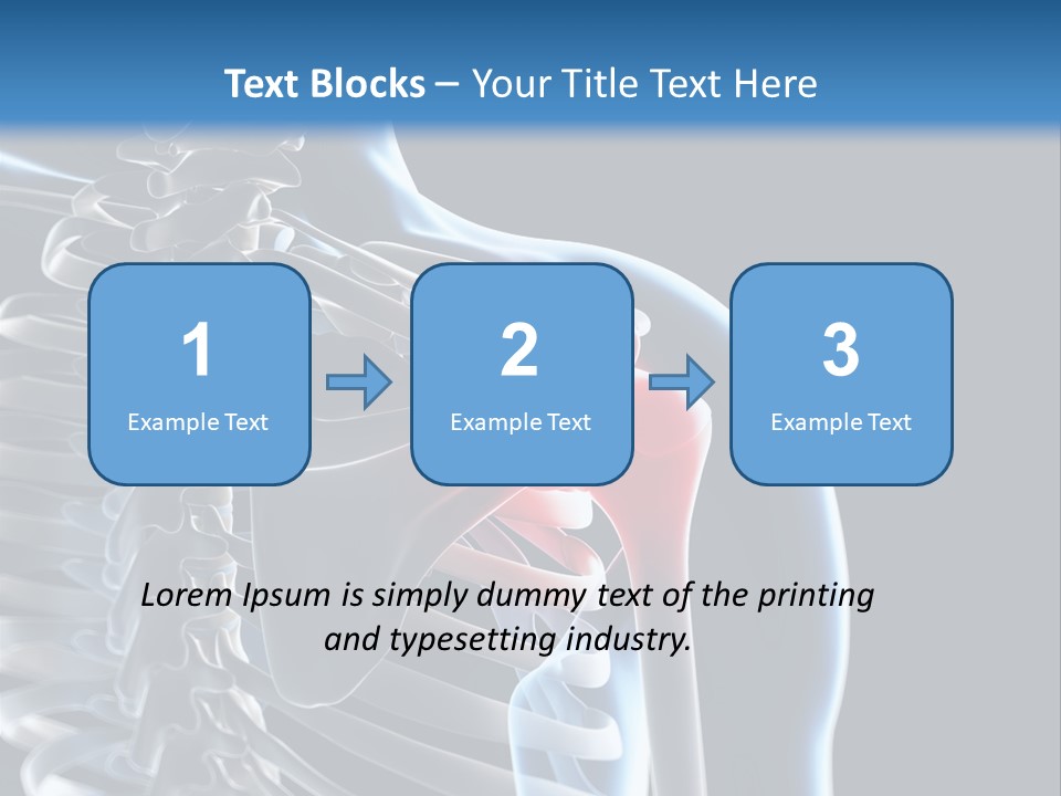 A Skeleton With A Highlighted Shoulder Is Shown In This Powerpoint Presentation PowerPoint Template