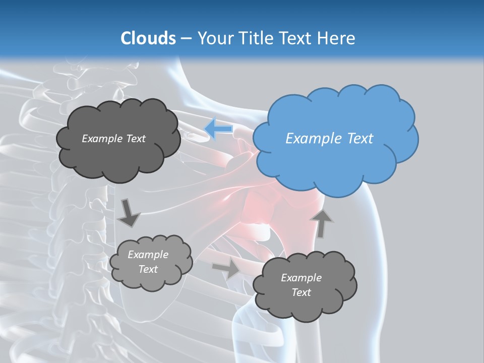 A Skeleton With A Highlighted Shoulder Is Shown In This Powerpoint Presentation PowerPoint Template