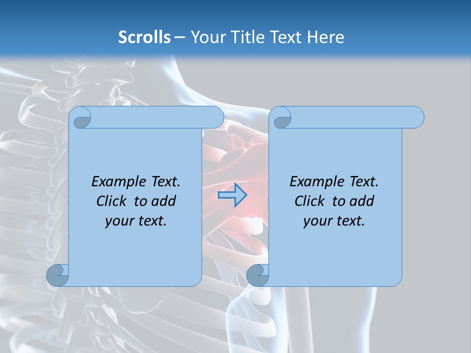 A Skeleton With A Highlighted Shoulder Is Shown In This Powerpoint Presentation PowerPoint Template