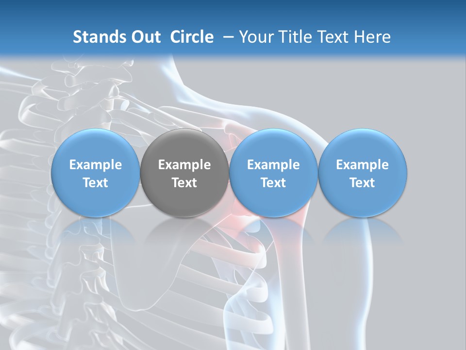 A Skeleton With A Highlighted Shoulder Is Shown In This Powerpoint Presentation PowerPoint Template