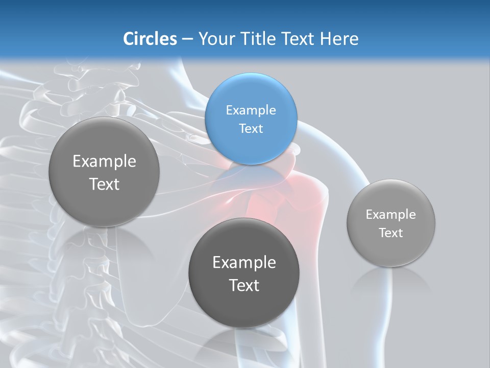 A Skeleton With A Highlighted Shoulder Is Shown In This Powerpoint Presentation PowerPoint Template
