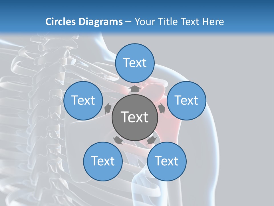 A Skeleton With A Highlighted Shoulder Is Shown In This Powerpoint Presentation PowerPoint Template