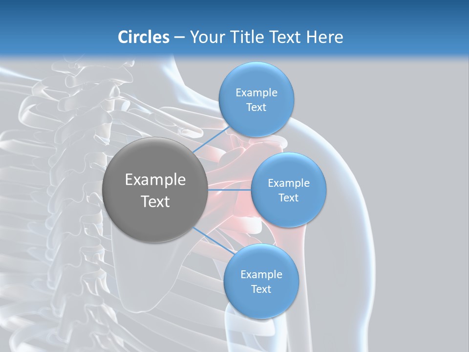 A Skeleton With A Highlighted Shoulder Is Shown In This Powerpoint Presentation PowerPoint Template