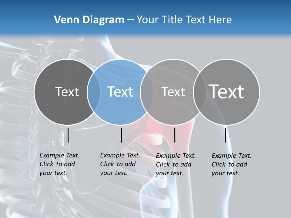 A Skeleton With A Highlighted Shoulder Is Shown In This Powerpoint Presentation PowerPoint Template