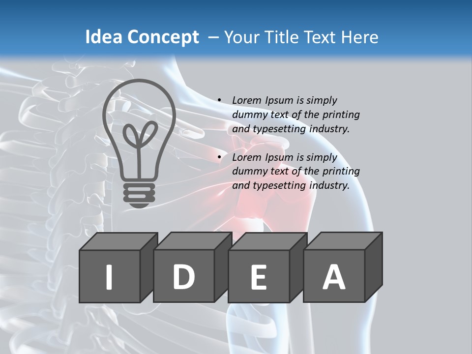 A Skeleton With A Highlighted Shoulder Is Shown In This Powerpoint Presentation PowerPoint Template