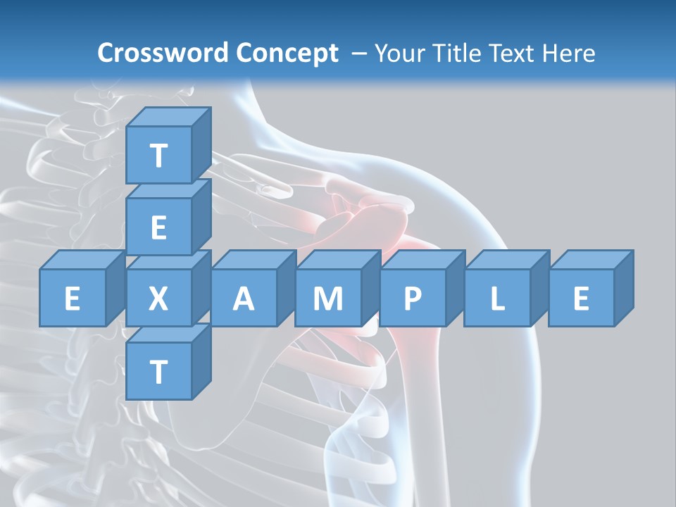 A Skeleton With A Highlighted Shoulder Is Shown In This Powerpoint Presentation PowerPoint Template