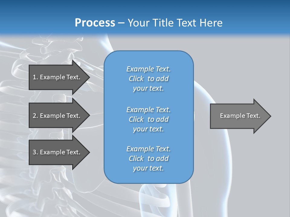 A Skeleton With A Highlighted Shoulder Is Shown In This Powerpoint Presentation PowerPoint Template