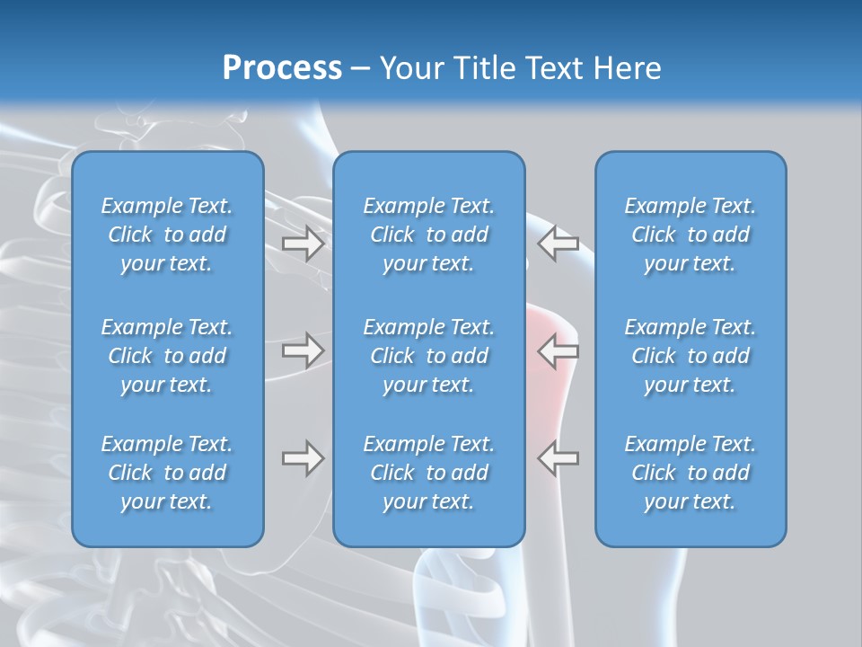 A Skeleton With A Highlighted Shoulder Is Shown In This Powerpoint Presentation PowerPoint Template