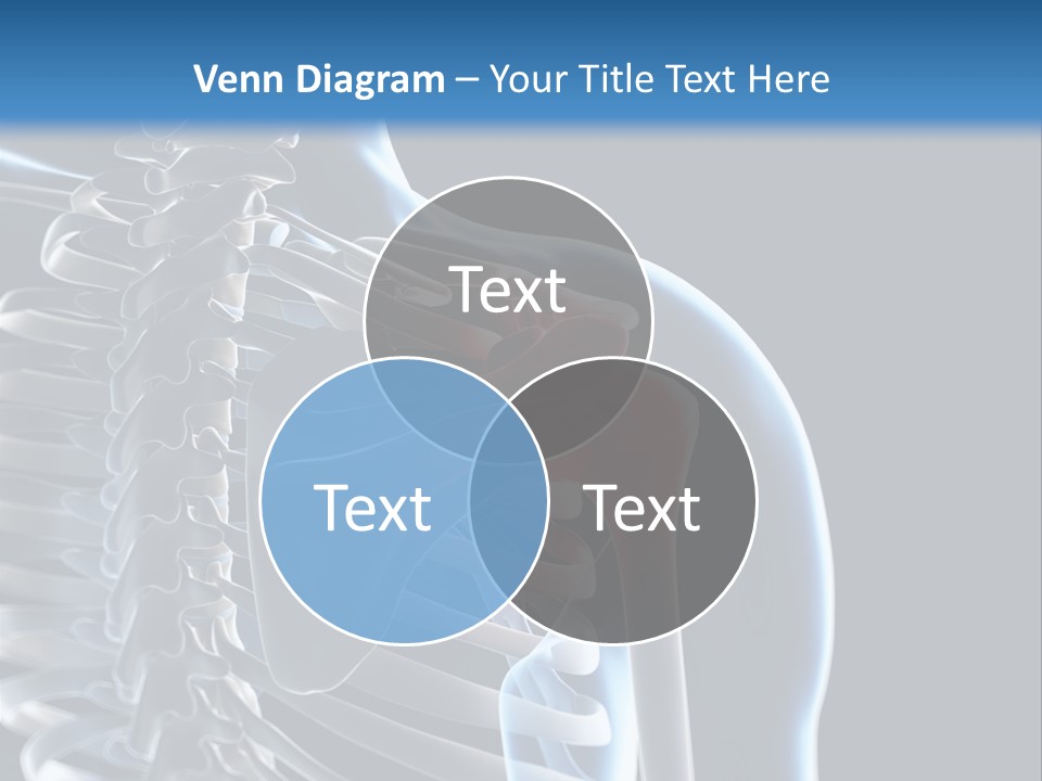 A Skeleton With A Highlighted Shoulder Is Shown In This Powerpoint Presentation PowerPoint Template