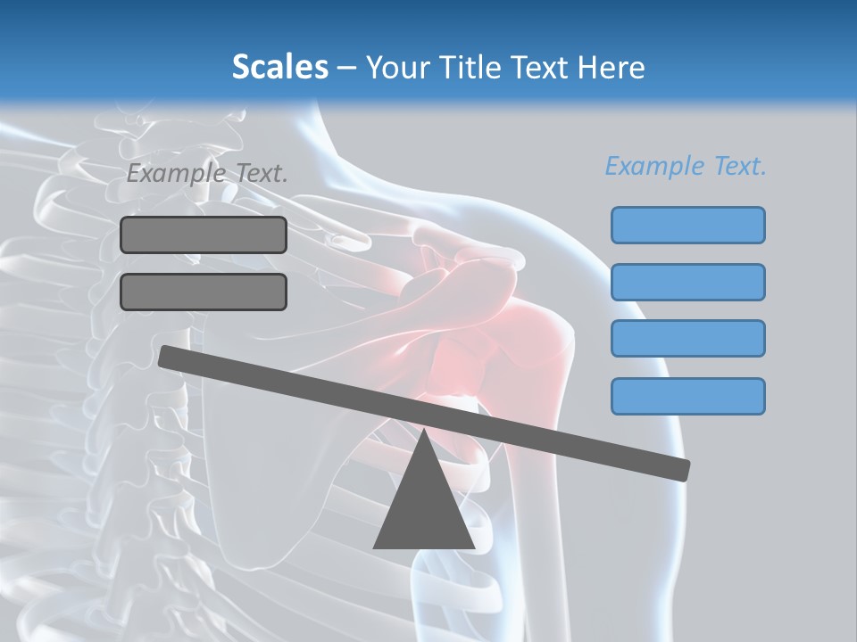 A Skeleton With A Highlighted Shoulder Is Shown In This Powerpoint Presentation PowerPoint Template