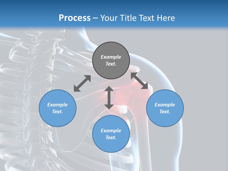A Skeleton With A Highlighted Shoulder Is Shown In This Powerpoint Presentation PowerPoint Template