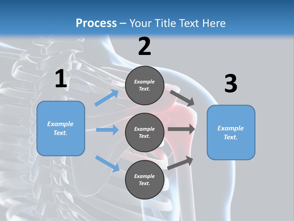 A Skeleton With A Highlighted Shoulder Is Shown In This Powerpoint Presentation PowerPoint Template