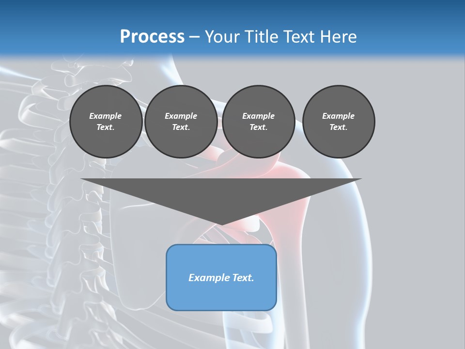 A Skeleton With A Highlighted Shoulder Is Shown In This Powerpoint Presentation PowerPoint Template