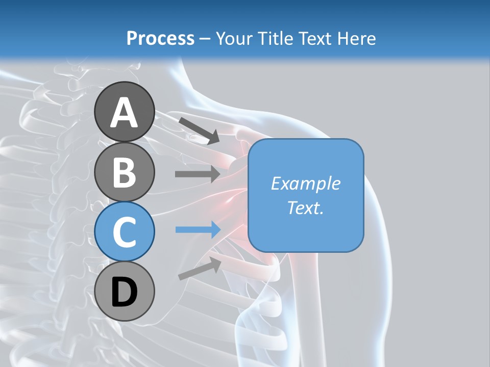 A Skeleton With A Highlighted Shoulder Is Shown In This Powerpoint Presentation PowerPoint Template