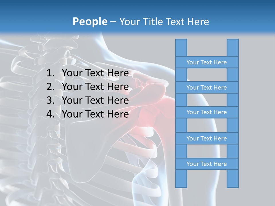 A Skeleton With A Highlighted Shoulder Is Shown In This Powerpoint Presentation PowerPoint Template