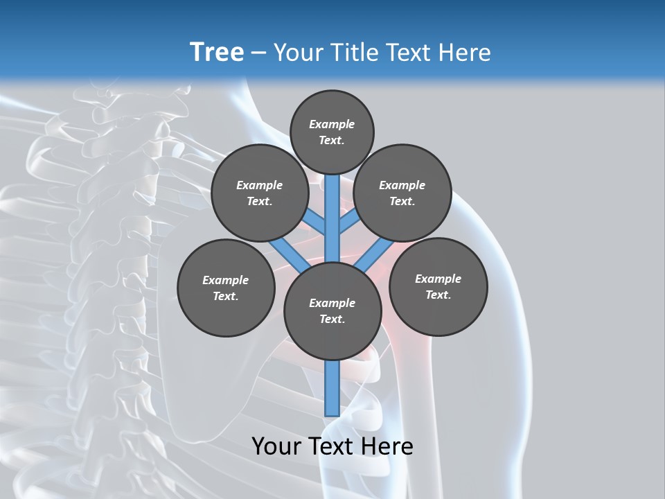 A Skeleton With A Highlighted Shoulder Is Shown In This Powerpoint Presentation PowerPoint Template